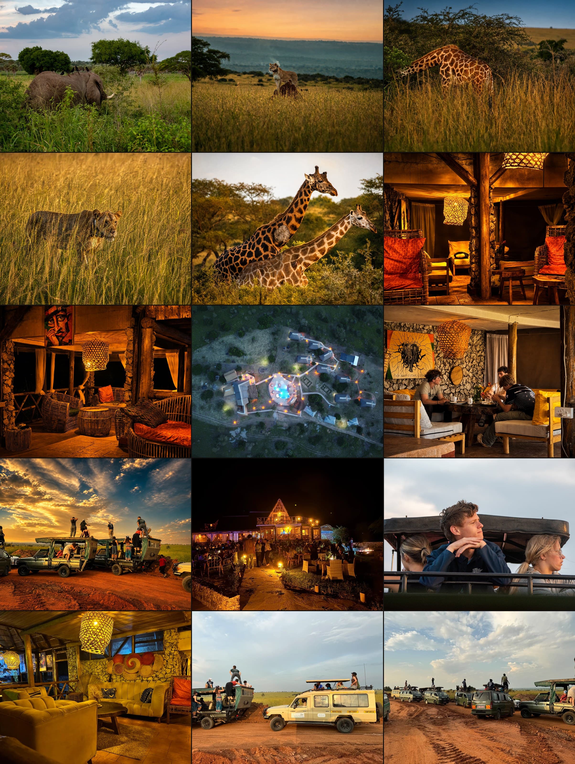 Fifteen photographs of The Elephant Oasis and Murchison Falls National Park: elephant in the bush, lion, giraffe, lion in grass, two giraffes, lodge at night, Nile at sunset, night aerial, outdoor cinema, guests on game drive, property grounds, and safari activity, Murchison Falls Uganda
