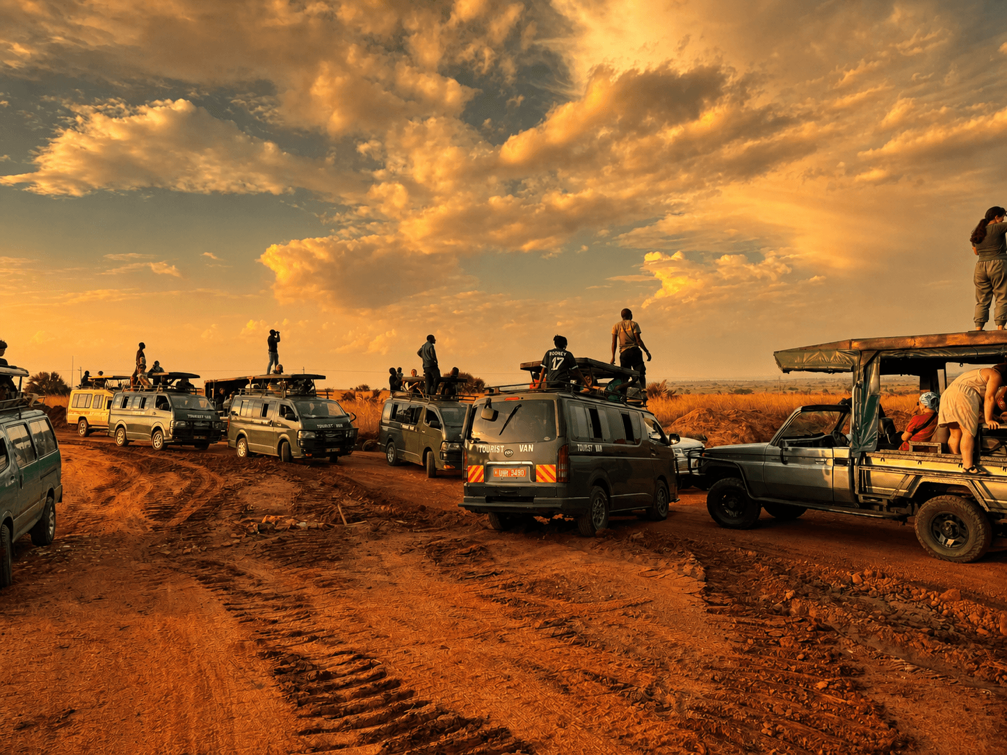 Multiple safari vehicles stopped on a red dirt road in Murchison Falls National Park at golden hour, guests standing on vehicle roofs